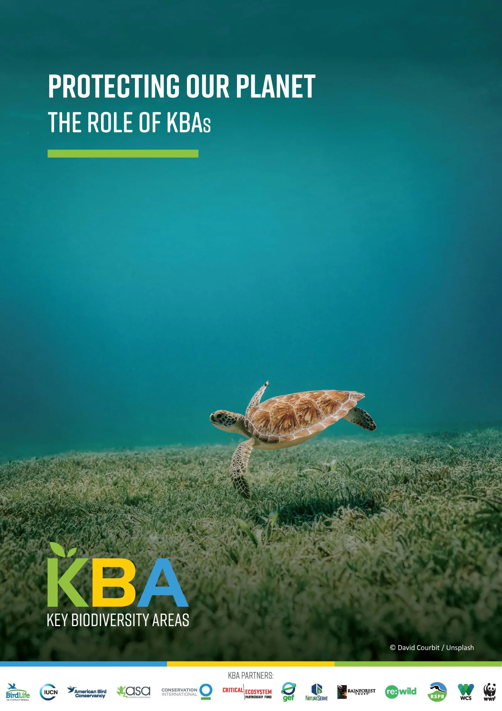 KBAs and their relevance for Protecting our Planet cover
