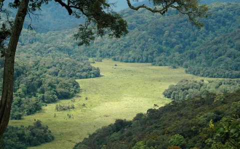 valley