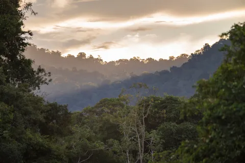 Guyana site
