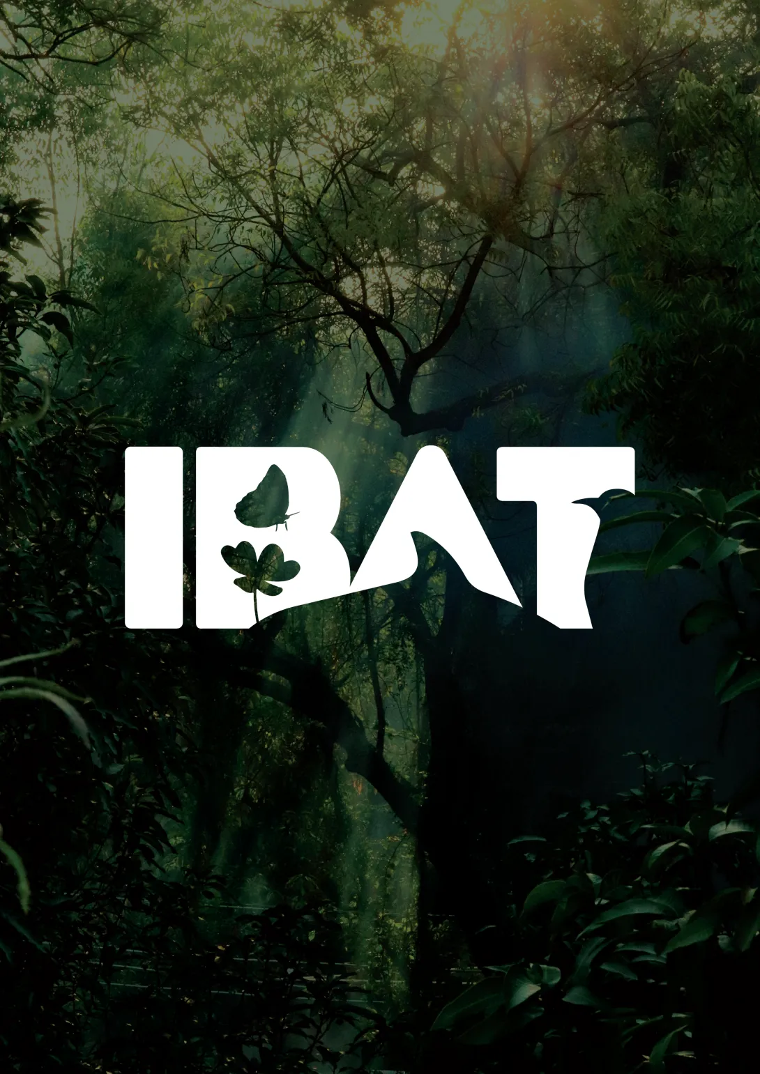 Resources placeholder image