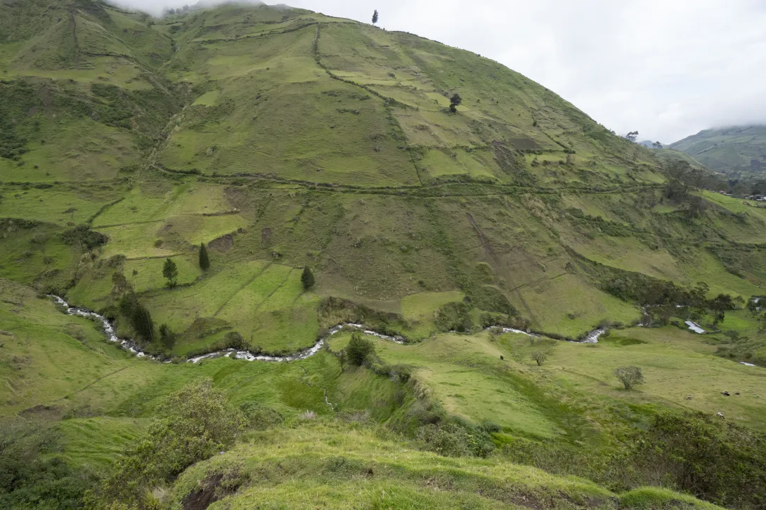 Jambato Sanctuary © Mica Stacey, Alianza Jambato