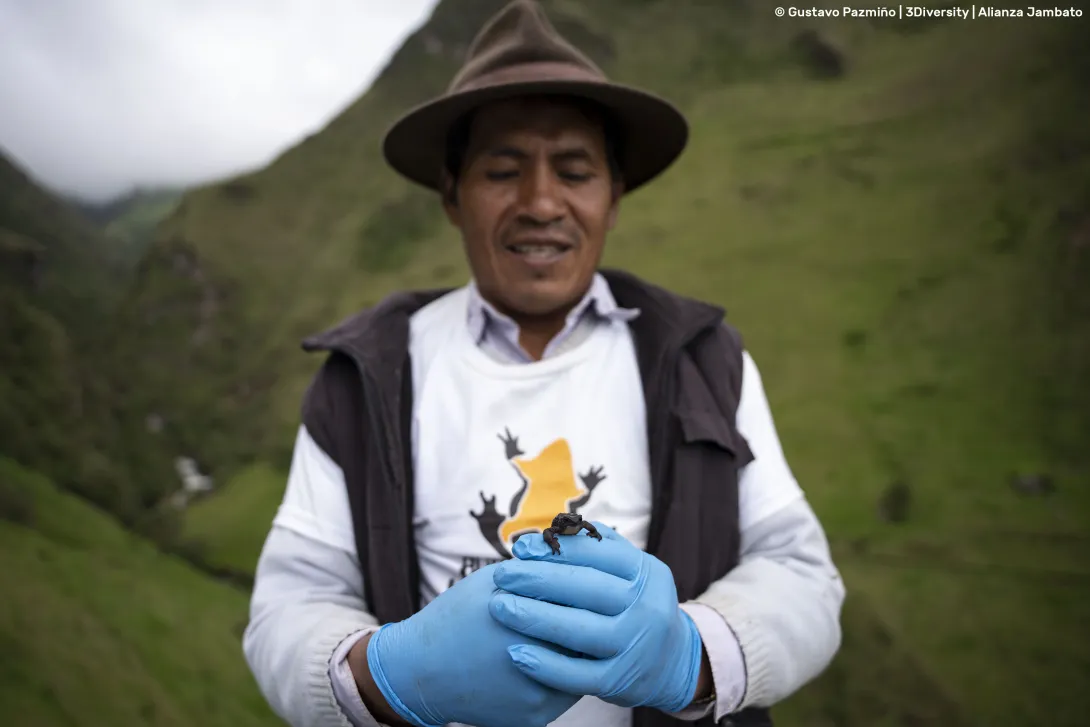 Wiliam Millingalli_Local field assistant_Gustavo Pazmiño_3Diversity_AlianzaJambato.jpg