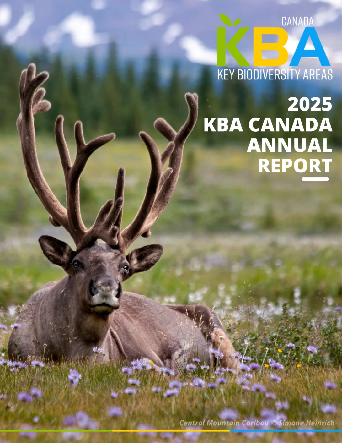 Cover KBA Canada 2025 report