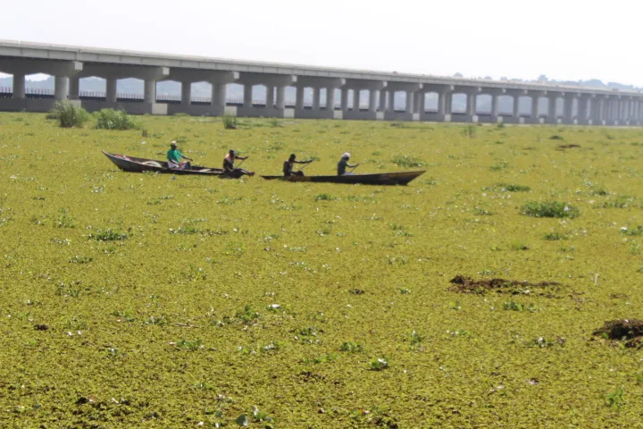 Fishermen Stucked by Salvinia in Mwanza Gulf KBA @Shabani Mwita
