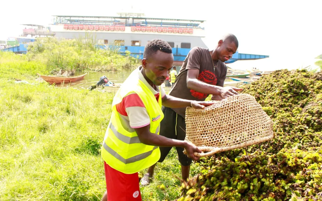 Removing Salvinia @Shabani Mwita