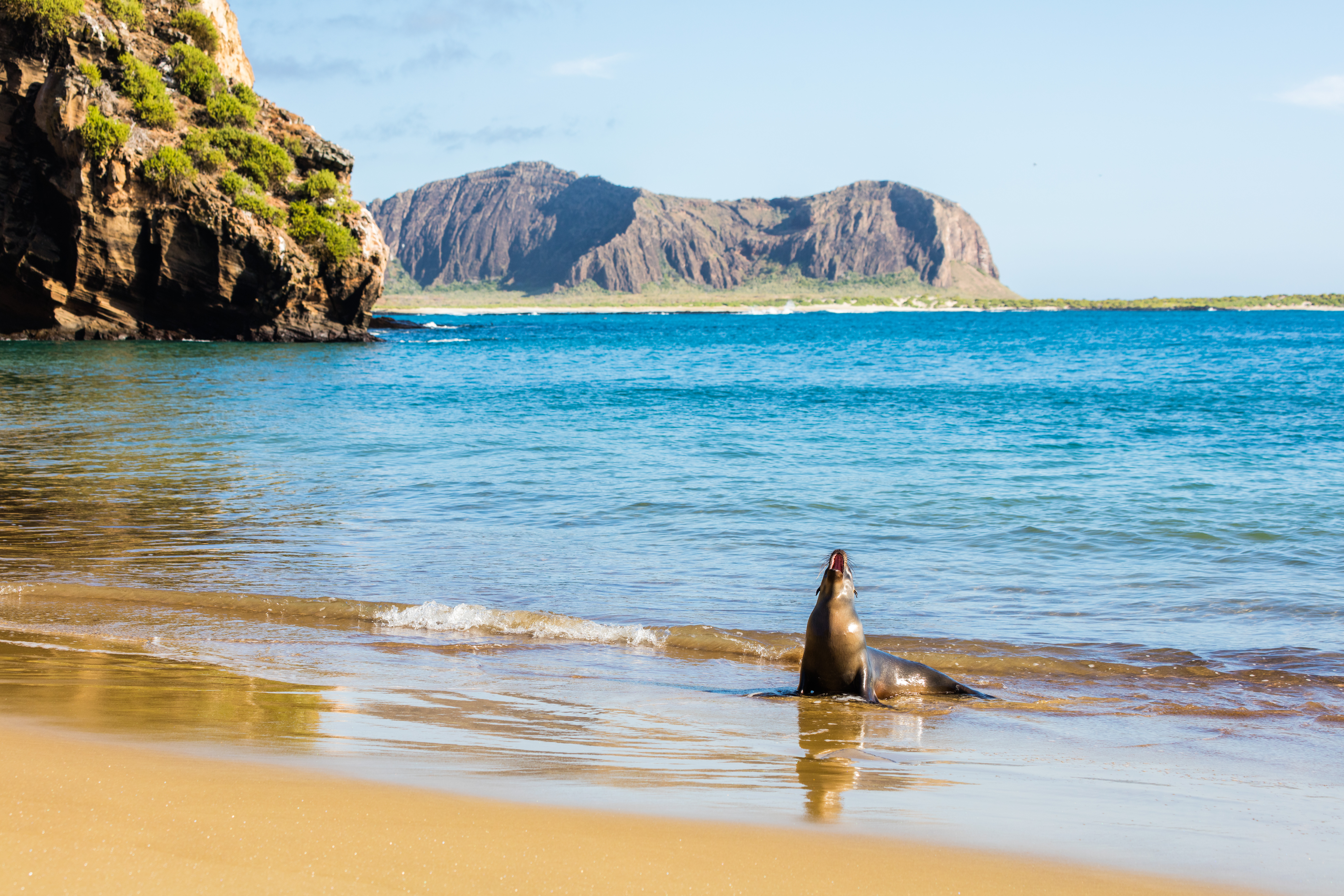 Isla San Cristobal, Galápagos © Diego Delso