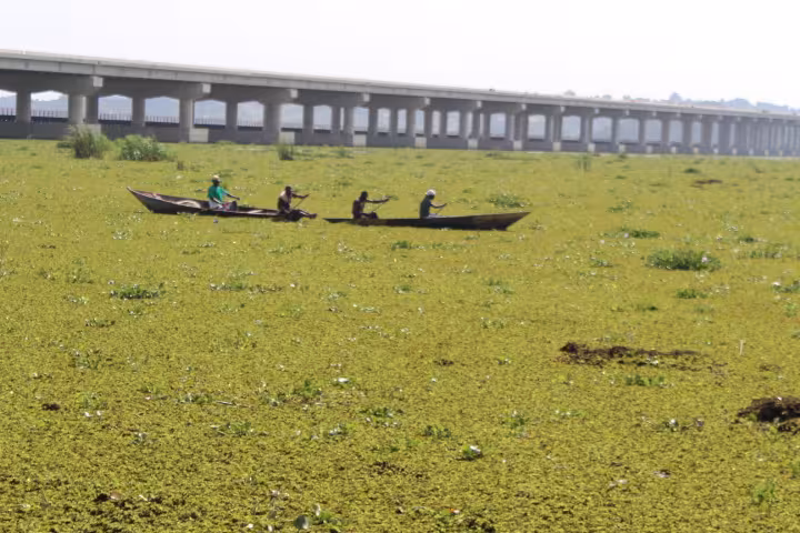 Fishermen Stucked by Salvinia in Mwanza Gulf KBA @Shabani Mwita