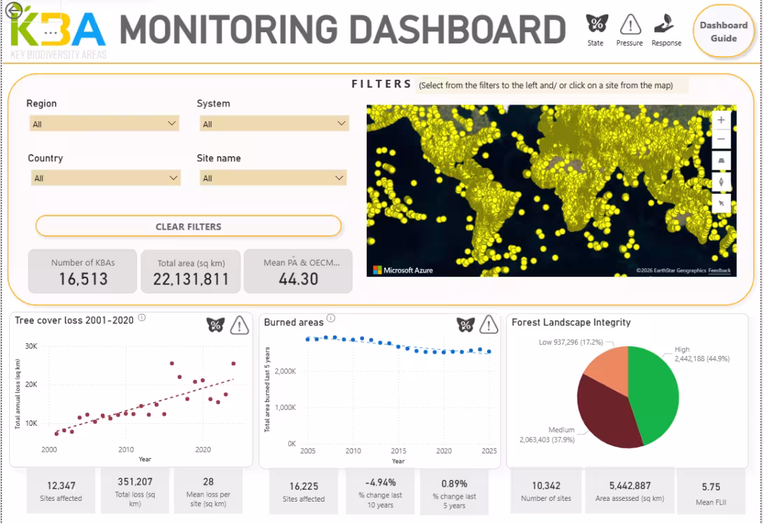 Monitoring dashboard preview