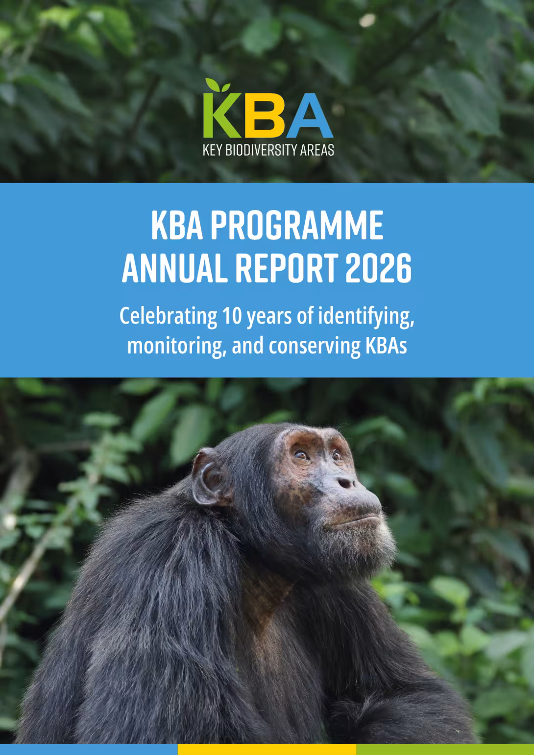 Annual Report 2026