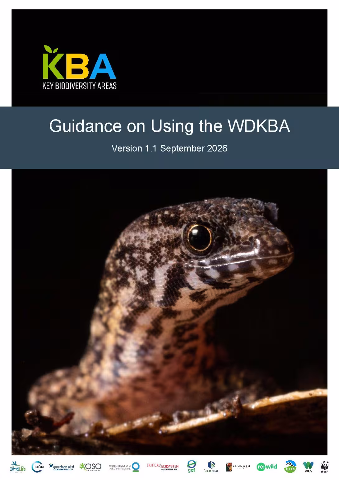 Guidance on Using the WDKBA